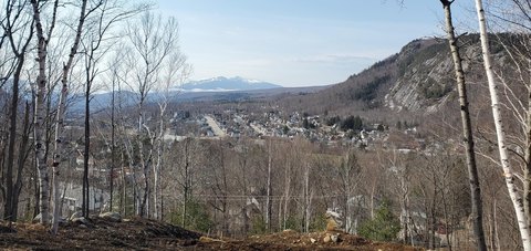 Undeveloped Land with Captivating Views