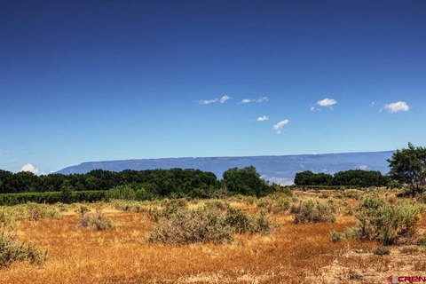 Montrose, CO Land For Sale