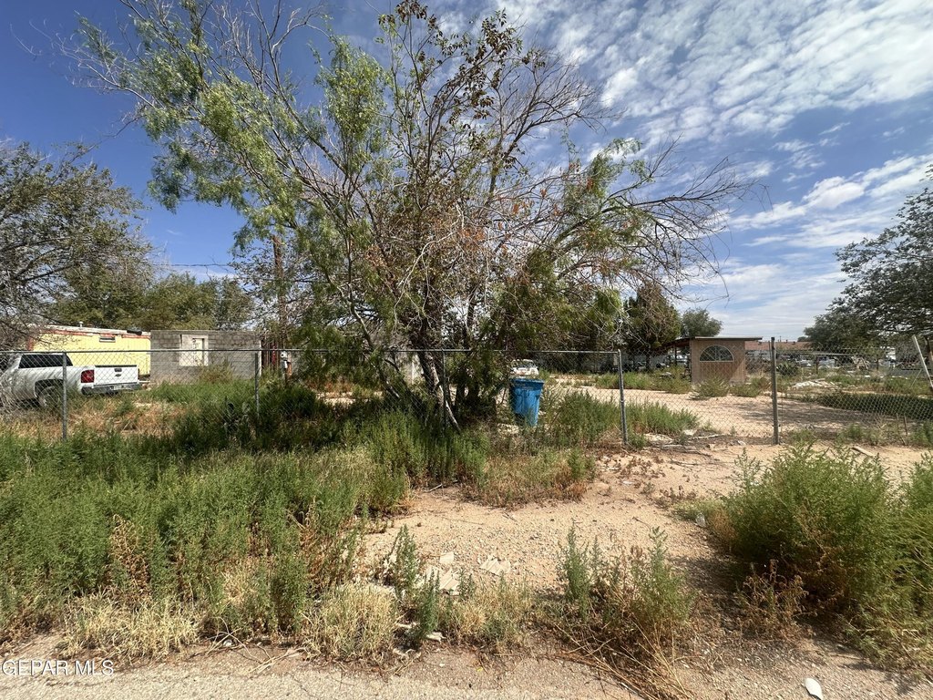 Picture 5