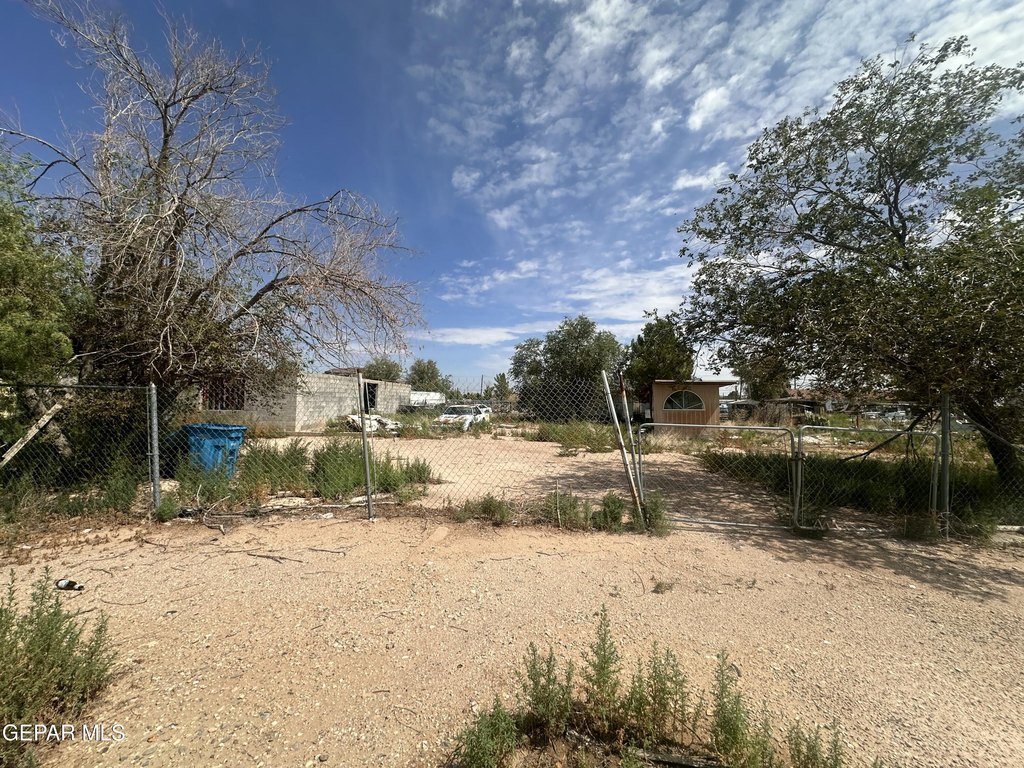 Picture 6
