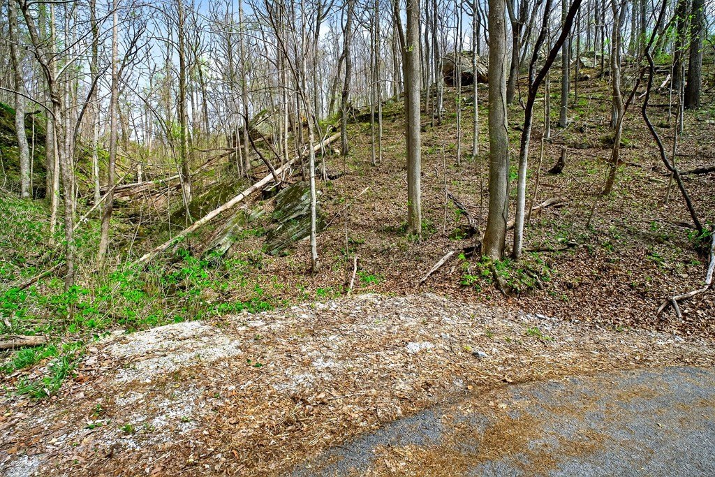 Picture 35