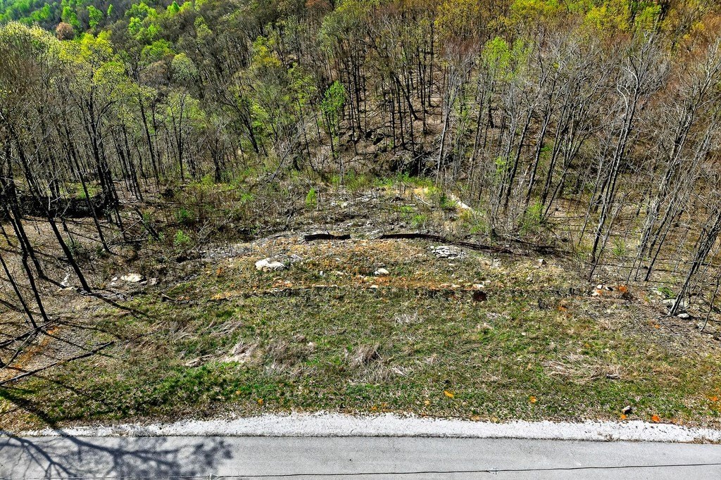 Picture 15