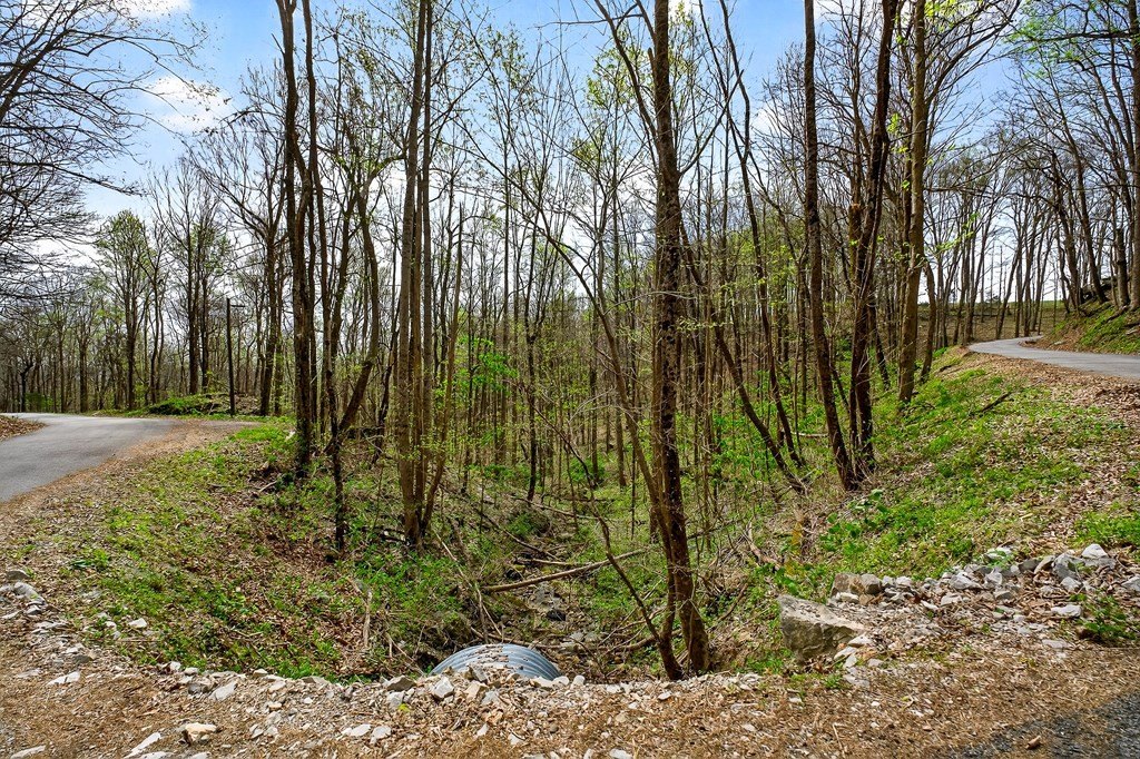 Picture 30