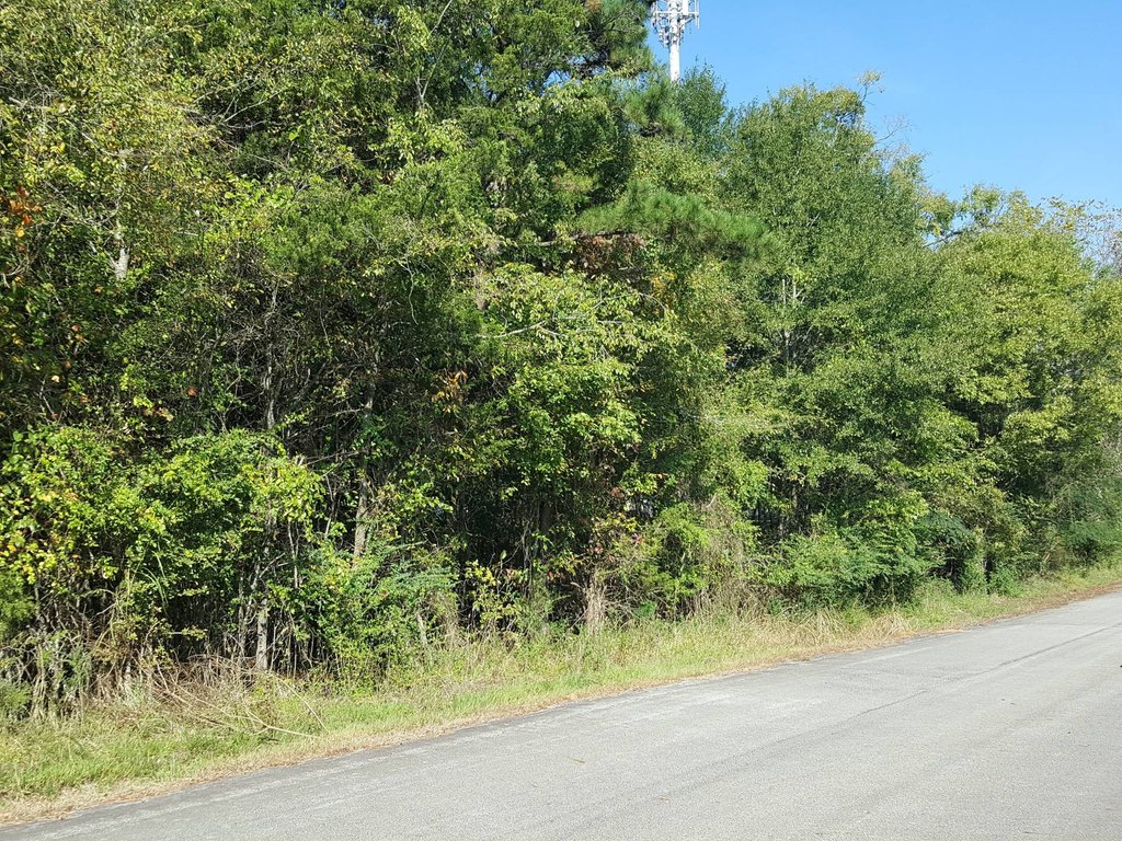 Picture 5