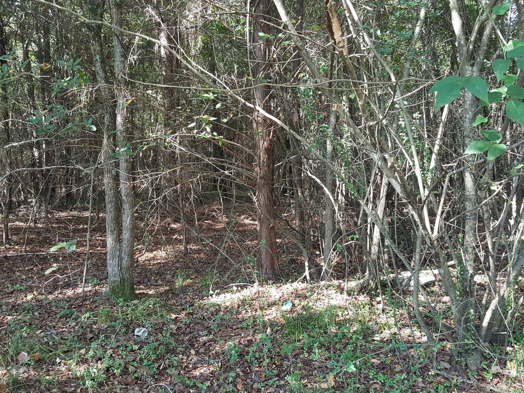 Picture 9