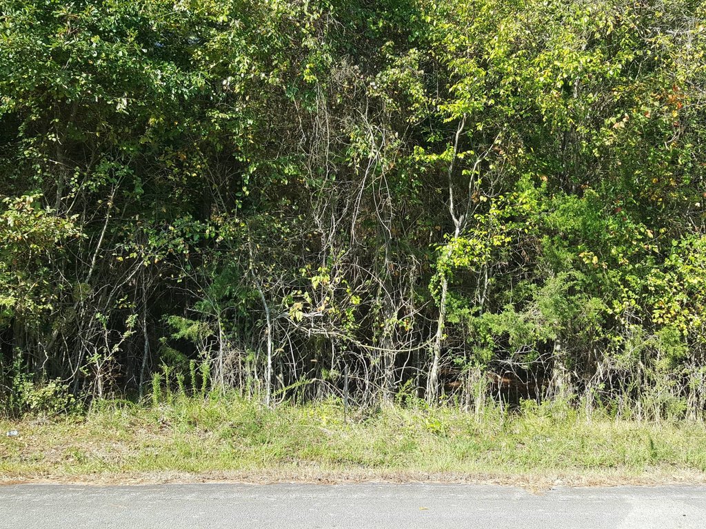 Picture 6