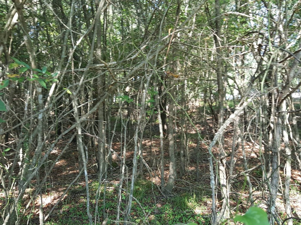 Picture 10