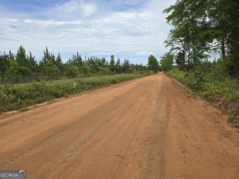 Ellaville, GA Land Opportunity