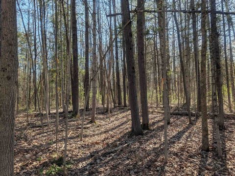 Wooded Residential Land with Stone Frontage