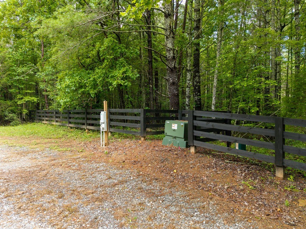 Picture 23