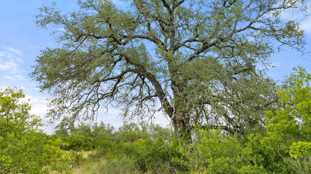 Picture 23
