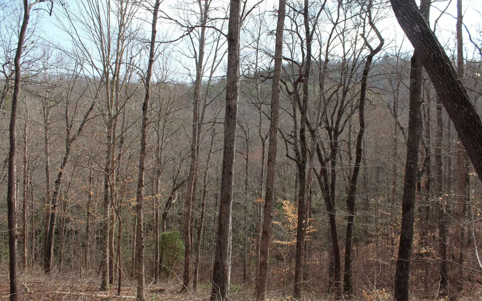 Creekfront Lot in Gated Subdivision