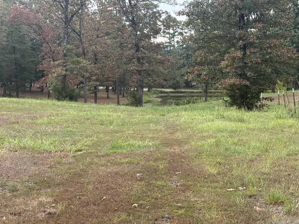 Picture 4