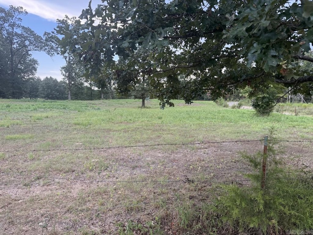 Picture 3