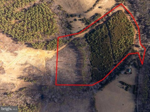 Esmont, VA Wooded Acreage