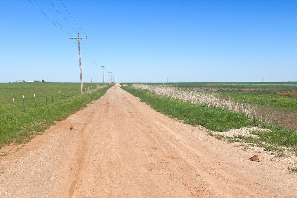 Picture 26