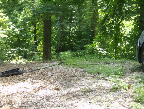 Lakefront Cove Lot for Sale