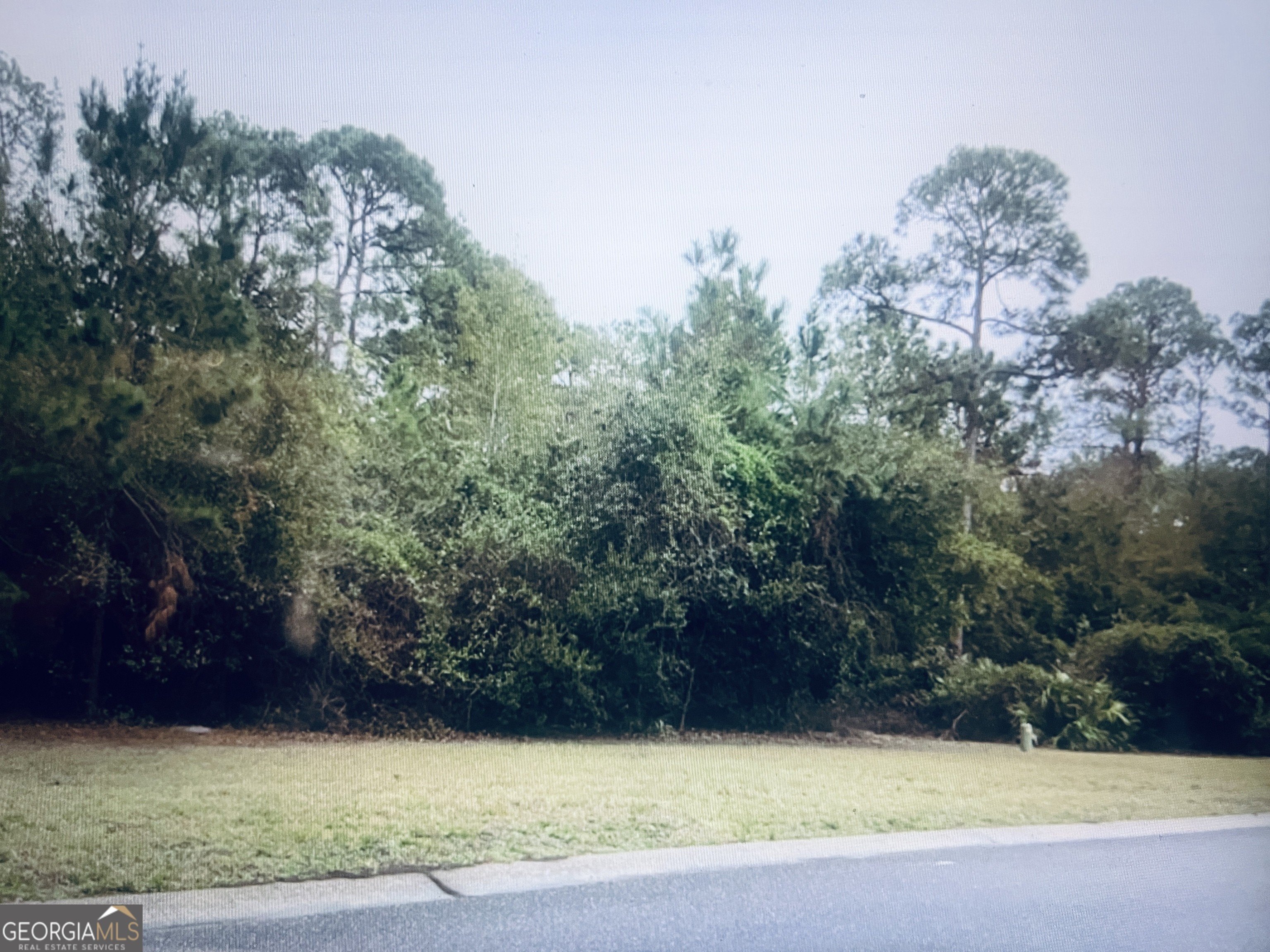 Spacious Corner Lot in St. Marys