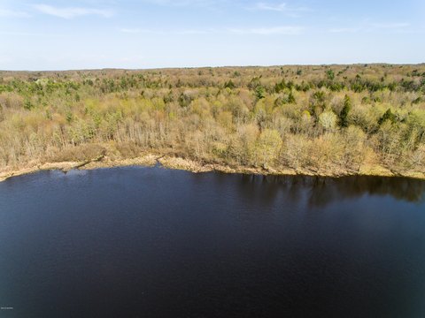LAND - HESPERIA, MI