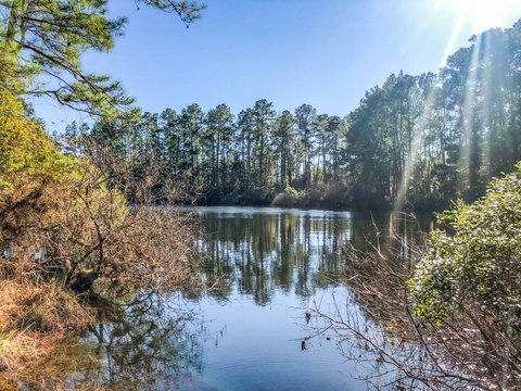 East Texas Ranch Land Available