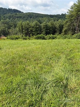 Residential Lot in Alleghany Manor
