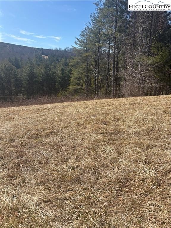 Residential Lot in Alleghany Manor