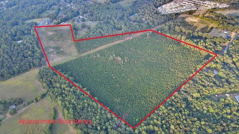 55 Acres Development Opportunity