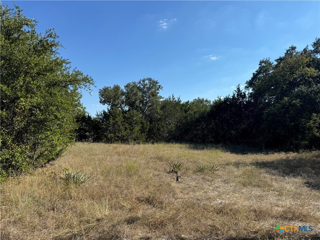 Residential Land in Belton, TX