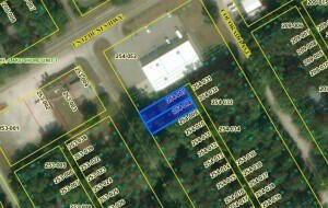 Wooded Land in Michigan City