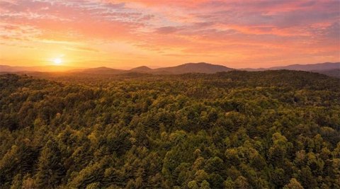 Land, Mineral Bluff, GA