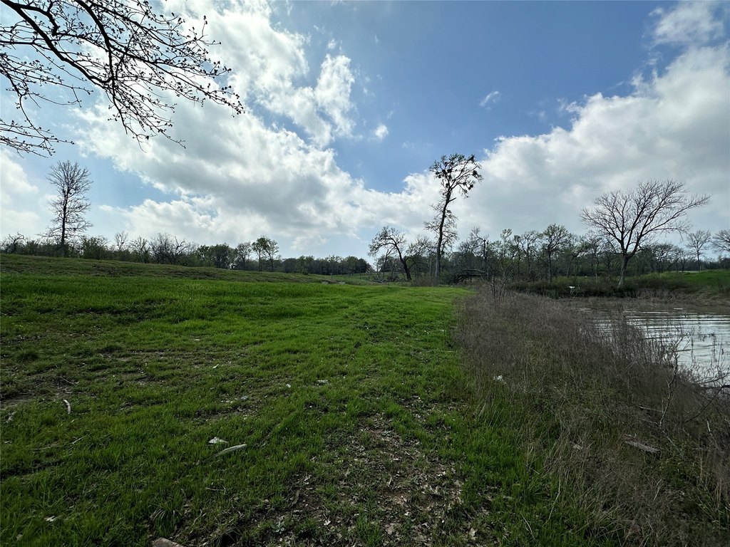 Picture 21