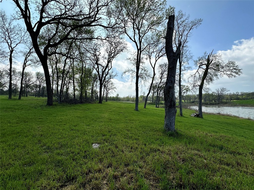 Picture 23
