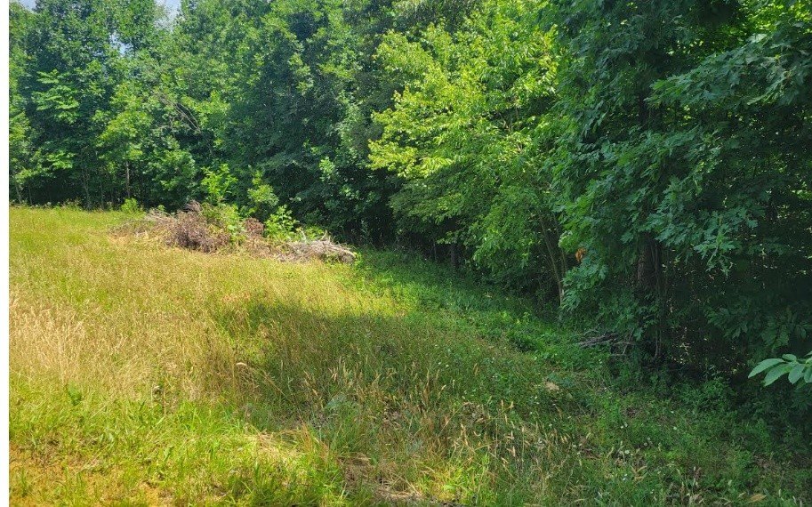 Picture 7