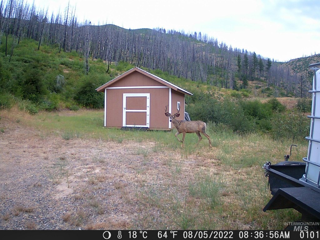 Picture 36