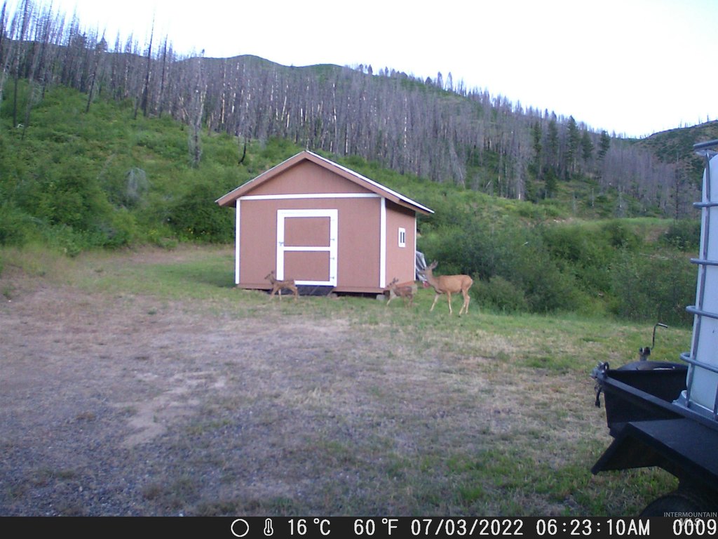 Picture 32