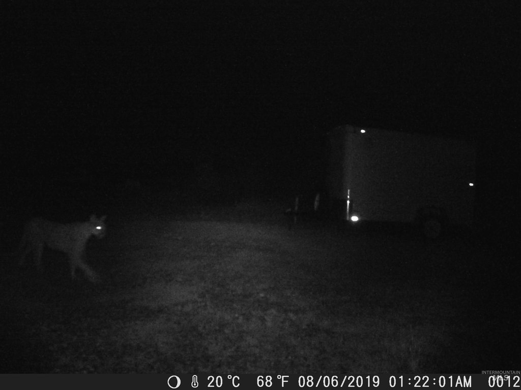 Picture 31