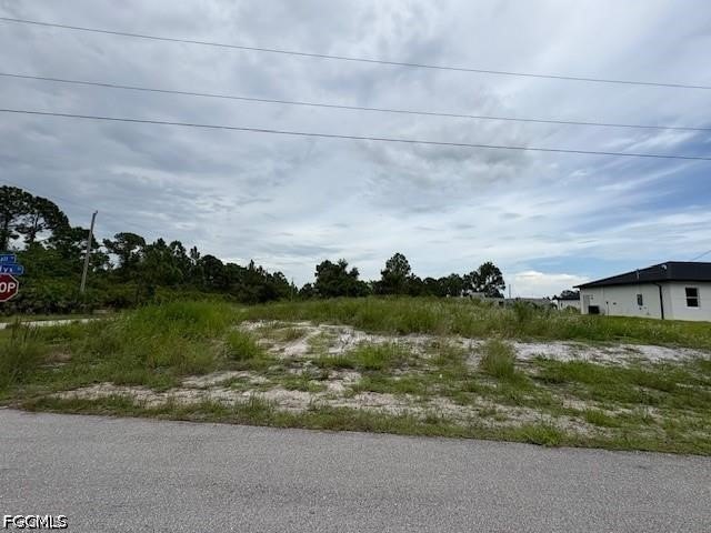 Picture 2