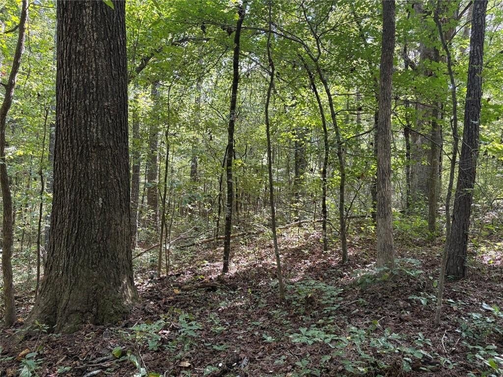 Picture 7