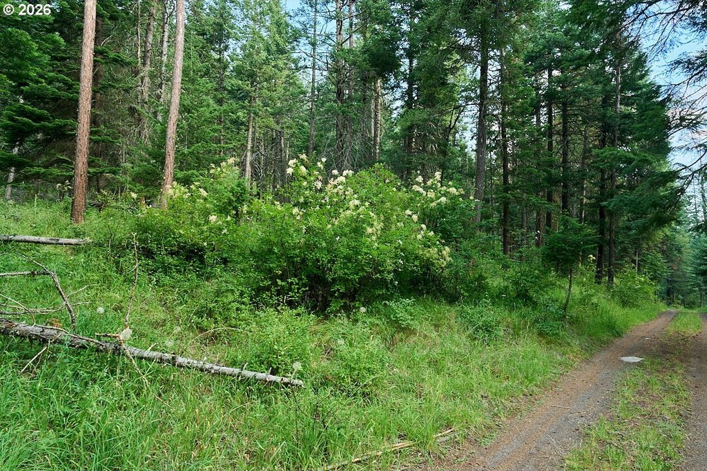 Picture 8