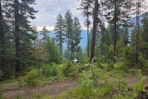 LAND - WallowaLake, OR