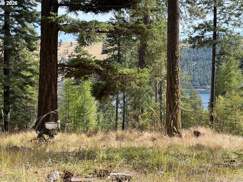 Land, WallowaLake, OR