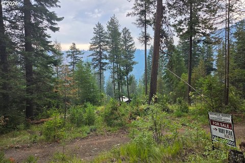 LAND - WallowaLake, OR