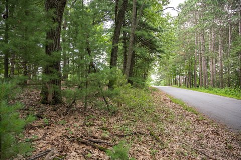 Lots & Acreage, Grand Marsh, WI