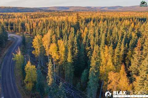Undeveloped Land by Chena River