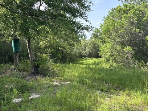 Versatile Land in Baker, Florida