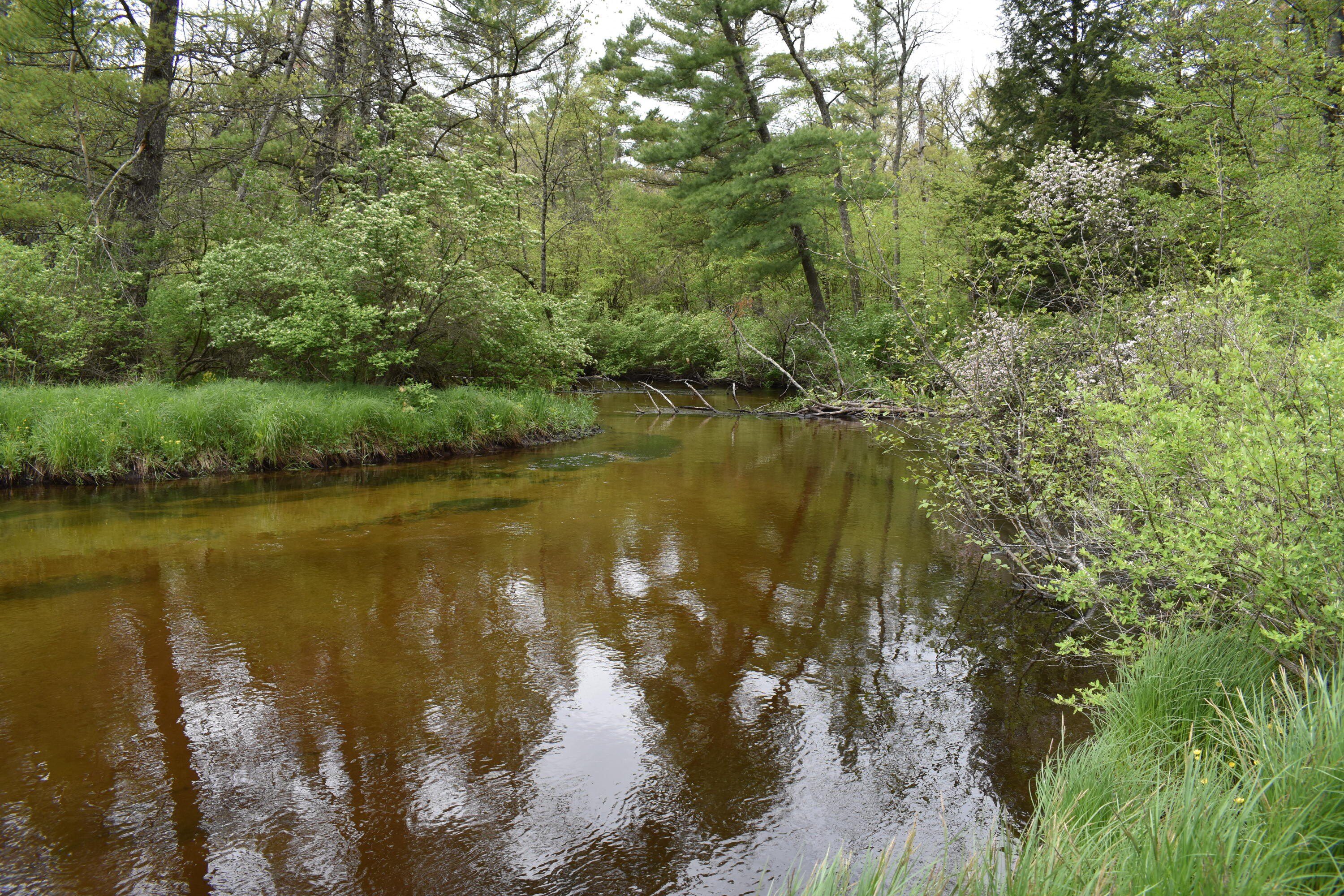 Land with Pere Marquette River Frontage