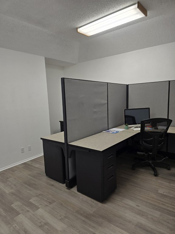 Picture 5
