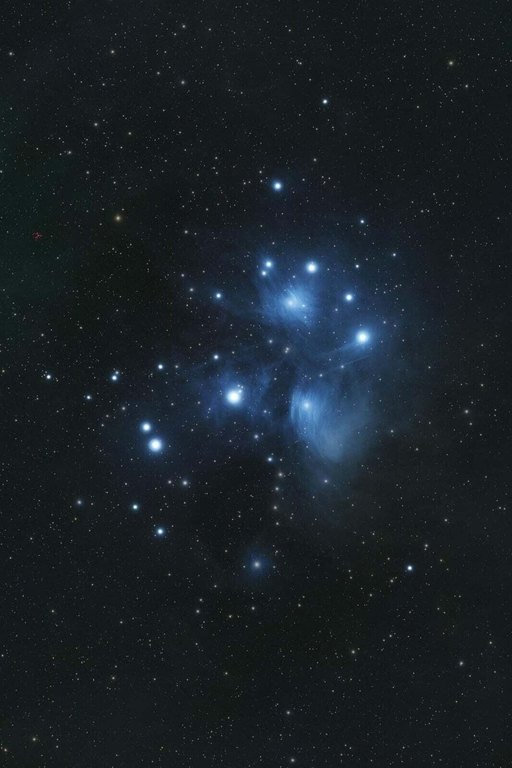 Picture 10