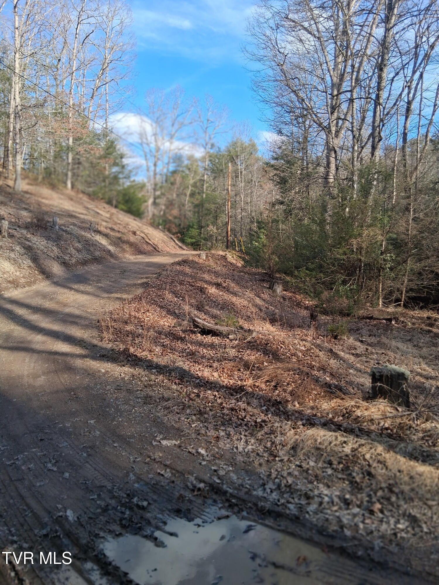 Secluded Wooded Acreage with Creek