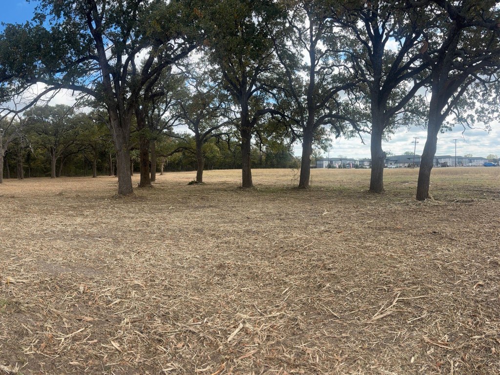 Picture 10
